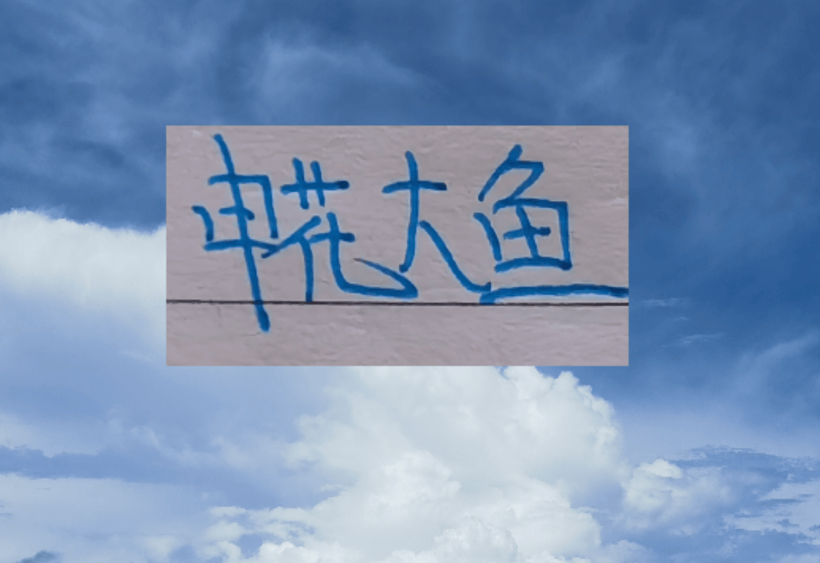 申花大鱼终于上岸了!切尔西教练2026年第一天下课